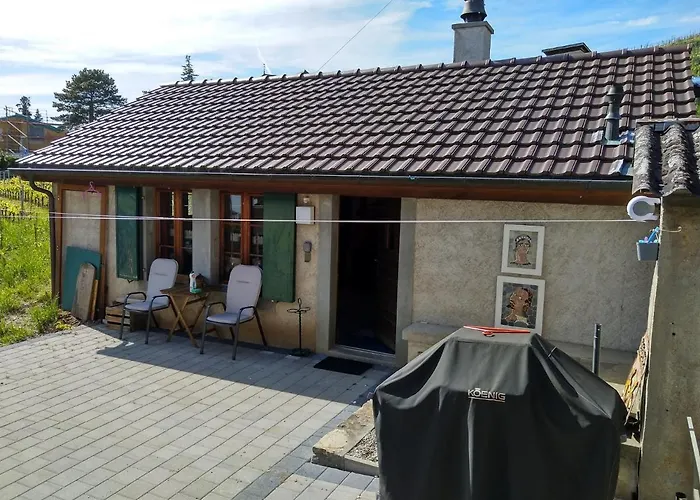 "Les Echalas" Charmante Maison Au Coeur Du Lavaux, Cully